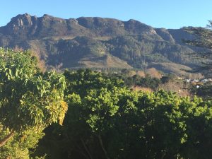 Constantia Nek Jeep Trail